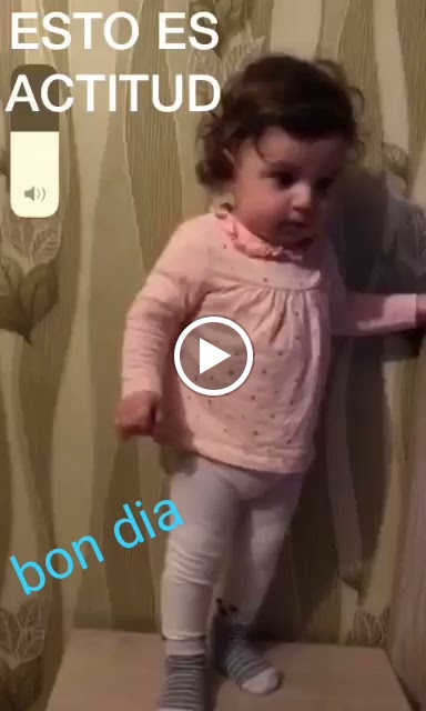 Patri's — Videos