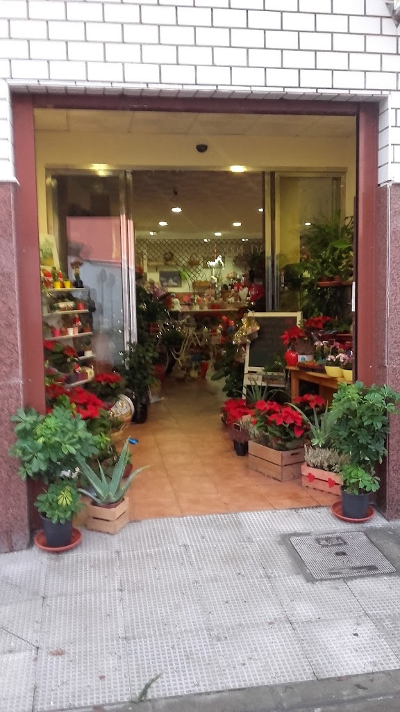 Floristeria Susana y David