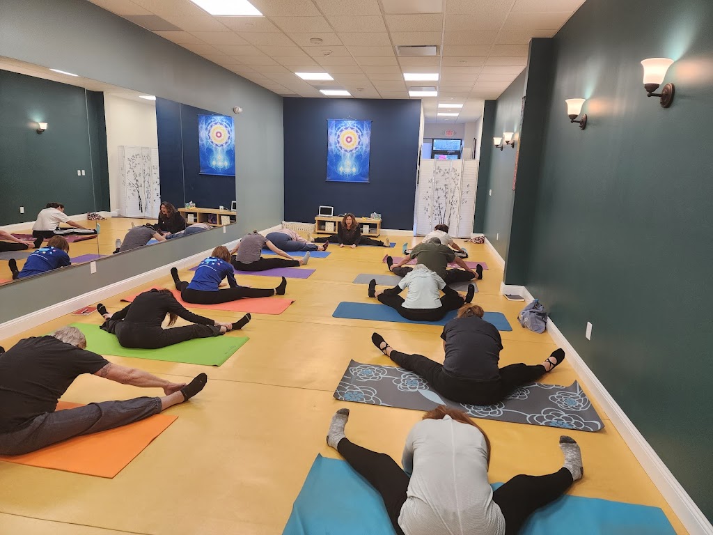  Body & Brain Yoga Tai Chi