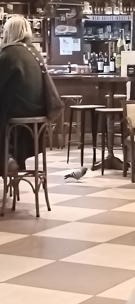 Cafeteria La Biblioteca de Aviles — Mas recientes