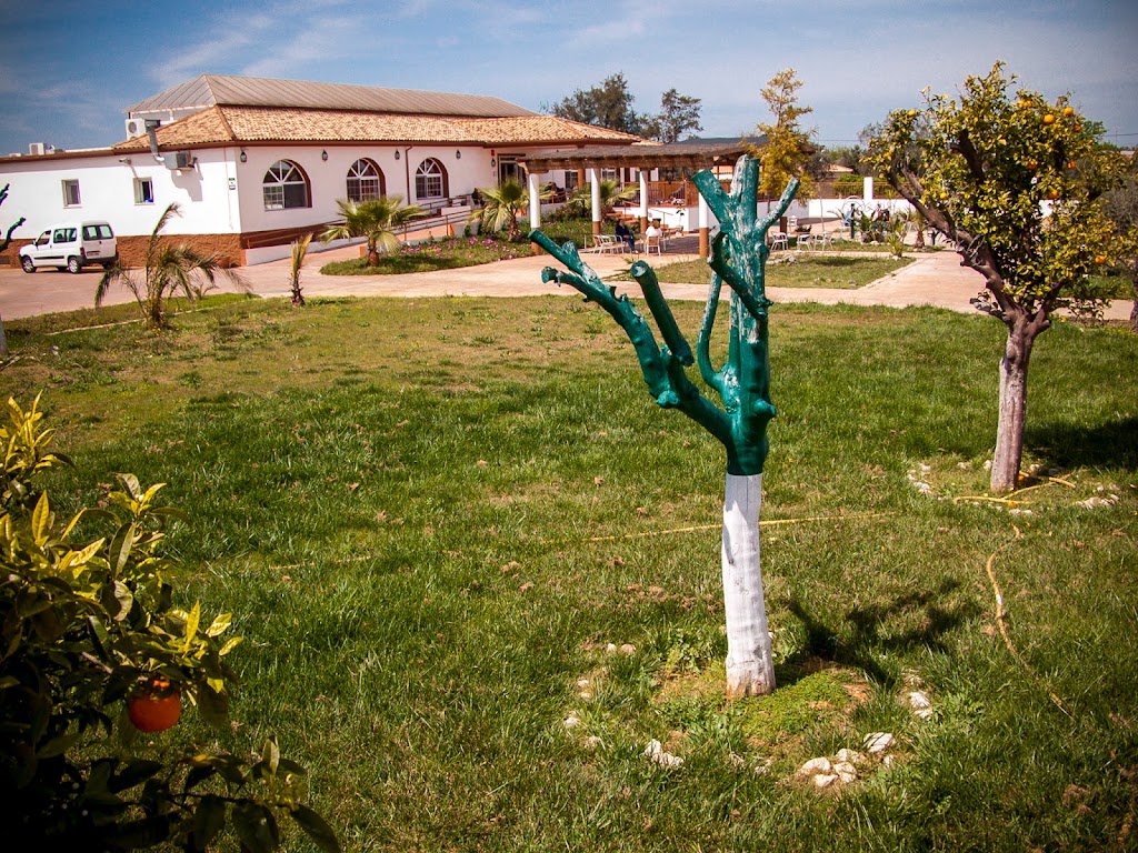 HOGAR DE MAYORES EL PILAR