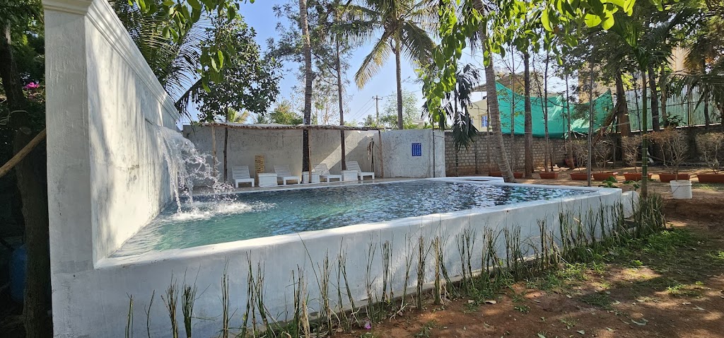 Seed Resort