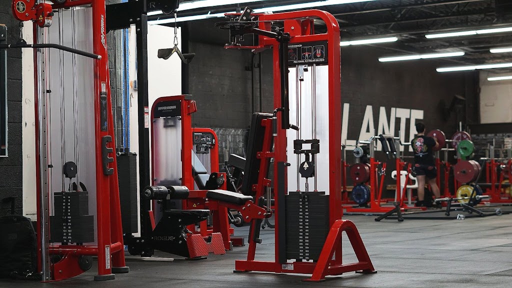  Adelante Barbell Club