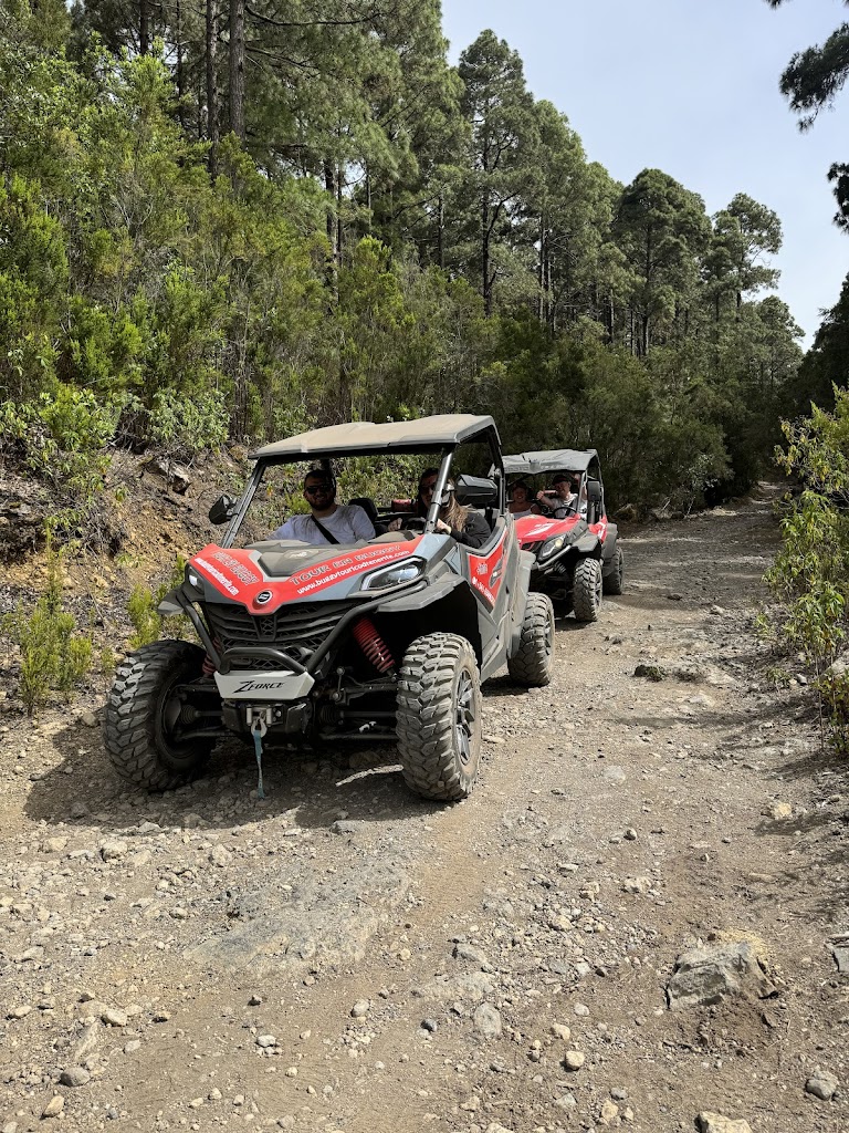 Buggy Tour Icod Tenerife
