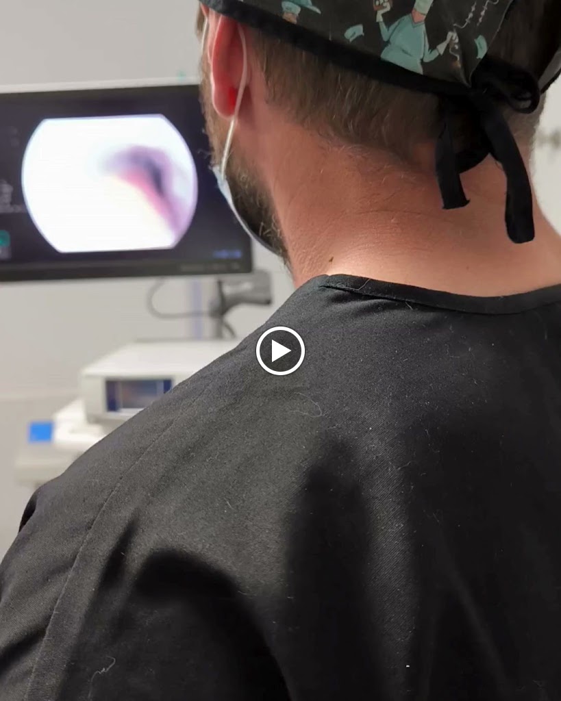 Evidensia Parla Sur Hospital Veterinario — Videos