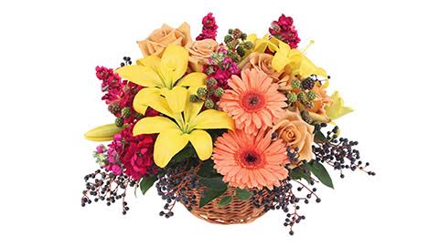 Downtown Flowers & Gifts / Judy's Floral & Gifts