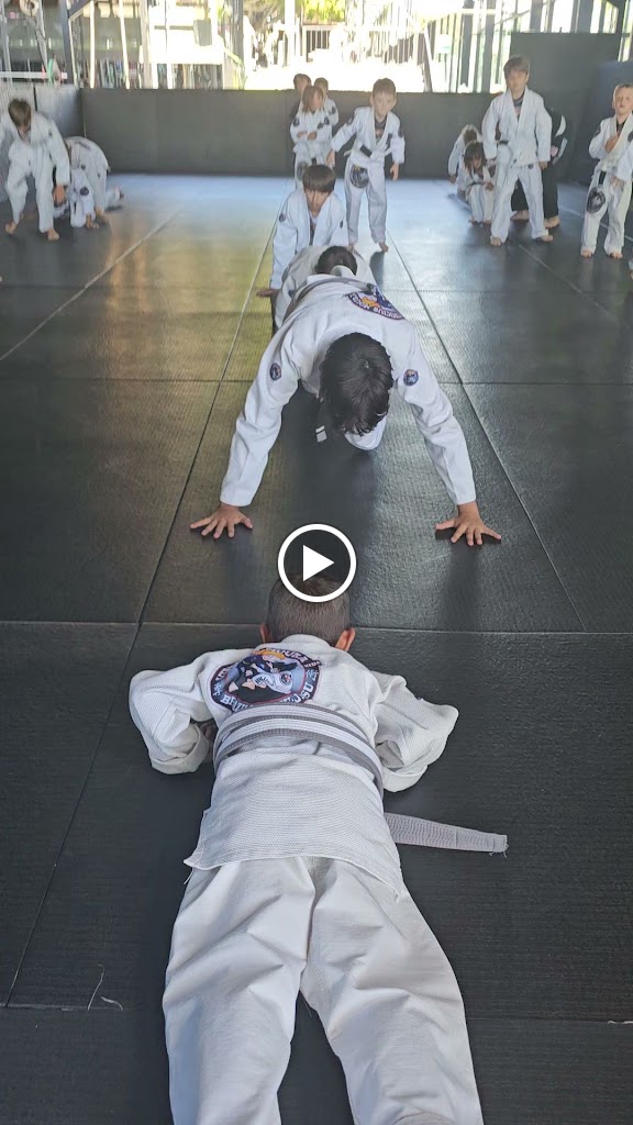 Vinicius Moura Brazilian Jiu Jitsu — Videos