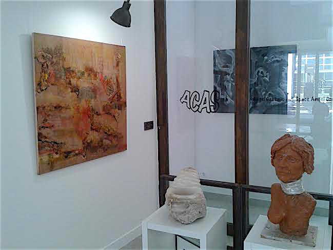 ACAS (Angel Castano Art Space)