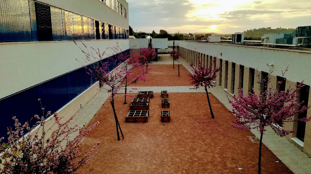 Colegio Publico Evaristo Calatayud