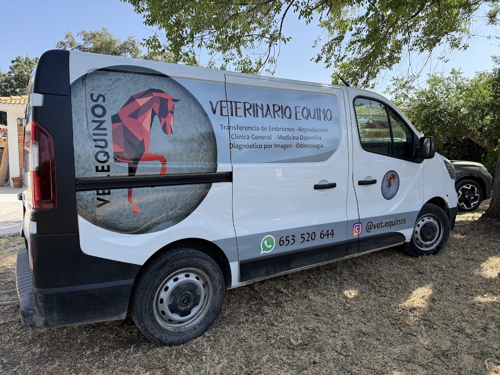 Vet.equinos