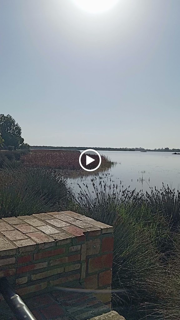 Autocolor — Videos