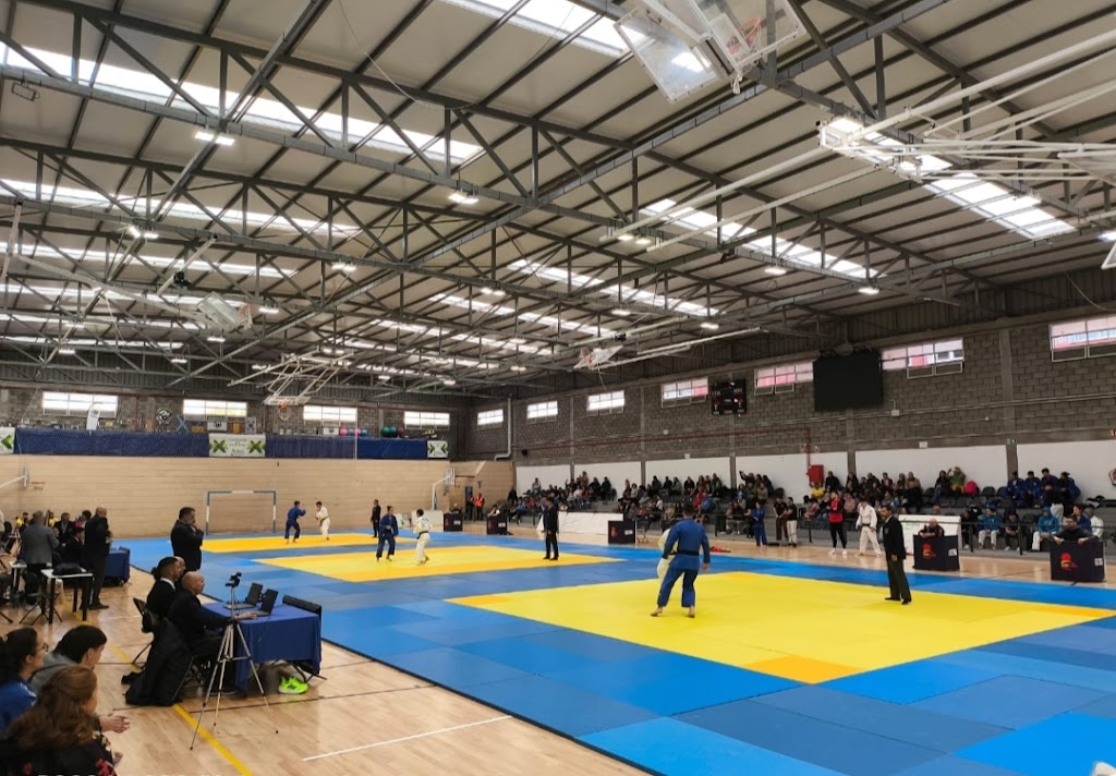 Pabellon Municipal De Deportes De Guimar