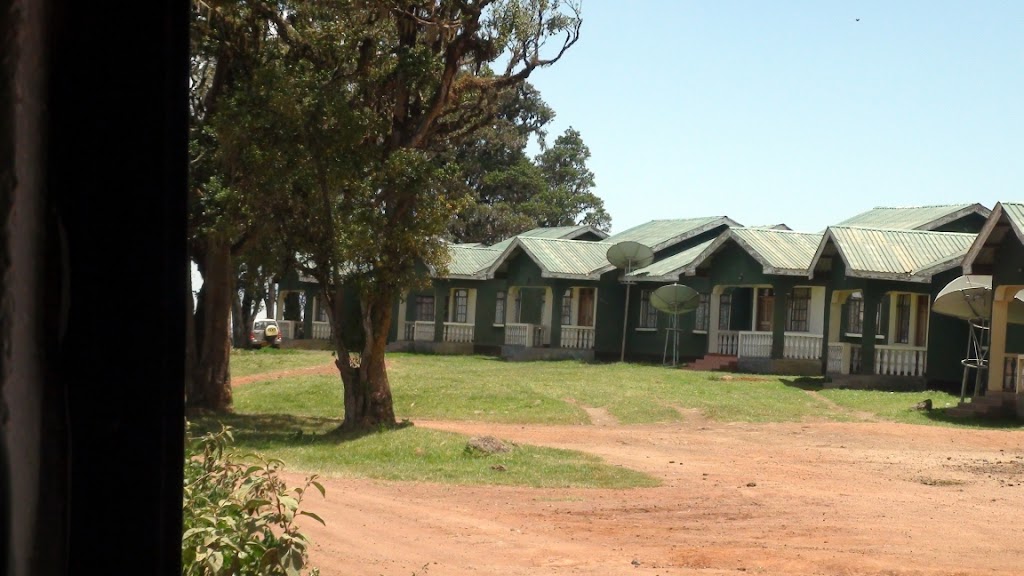 Simba Special Campsite B