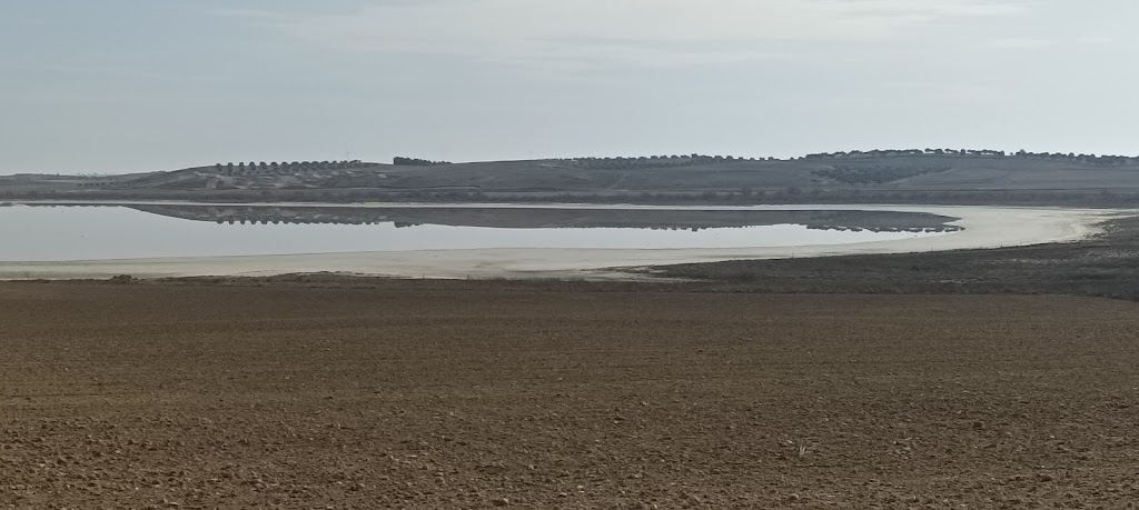 Laguna de El Longar