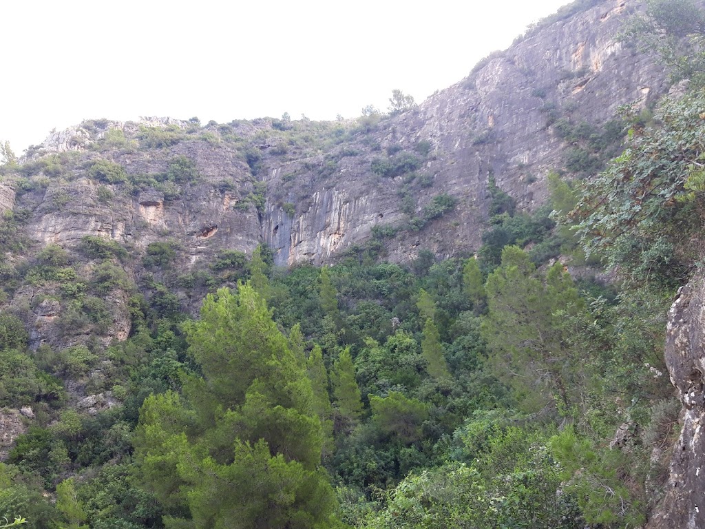 Cueva del Bolomor. Inicio