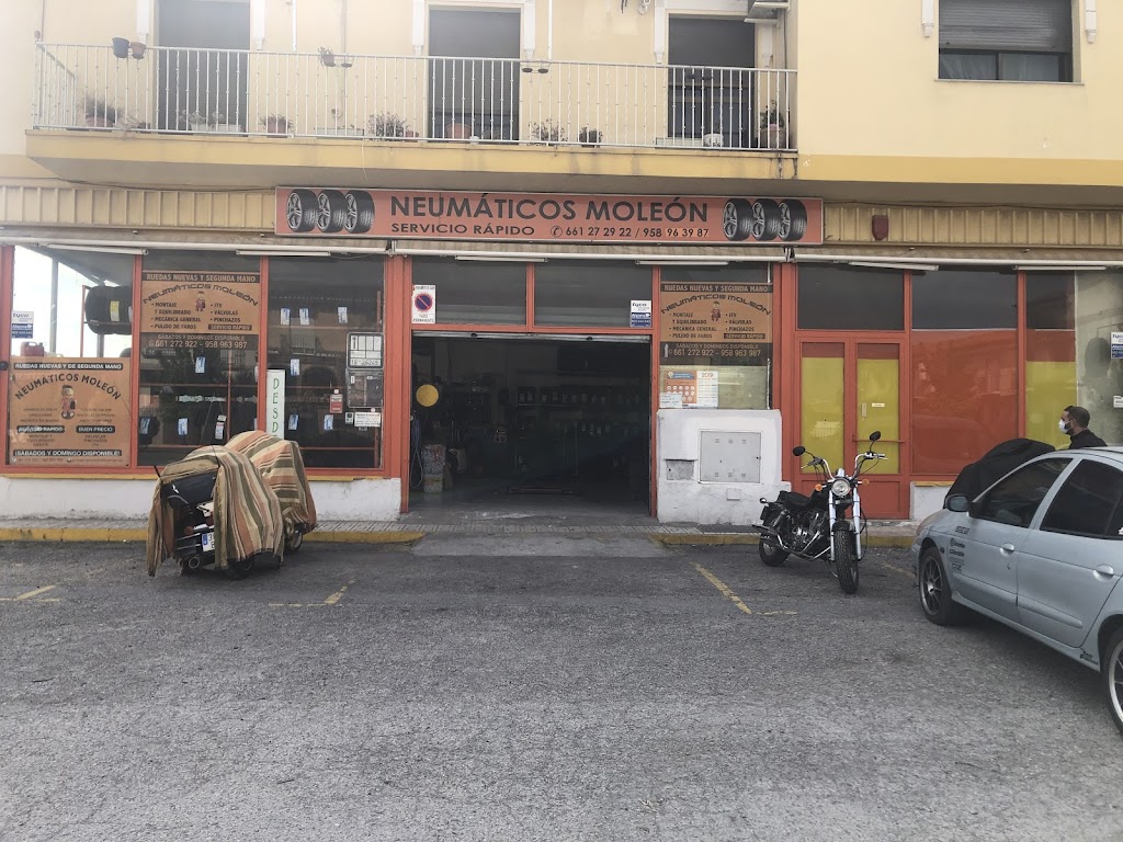 Neumaticos Moleon