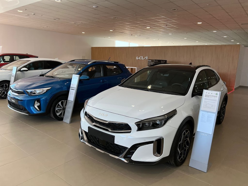 Concesionario KIA Motum — Interior
