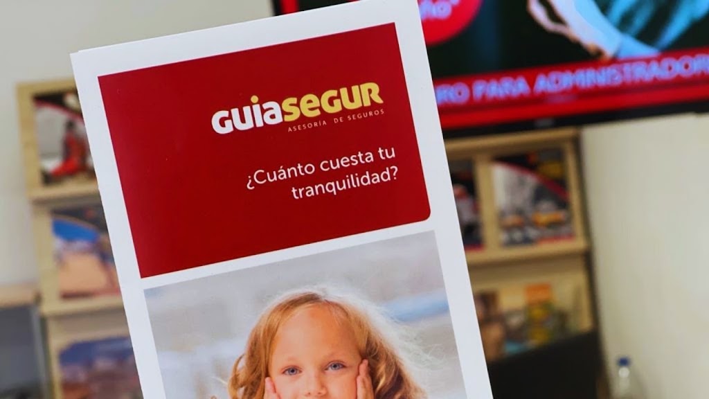 Guiasegur Guia de Isora — Del propietario