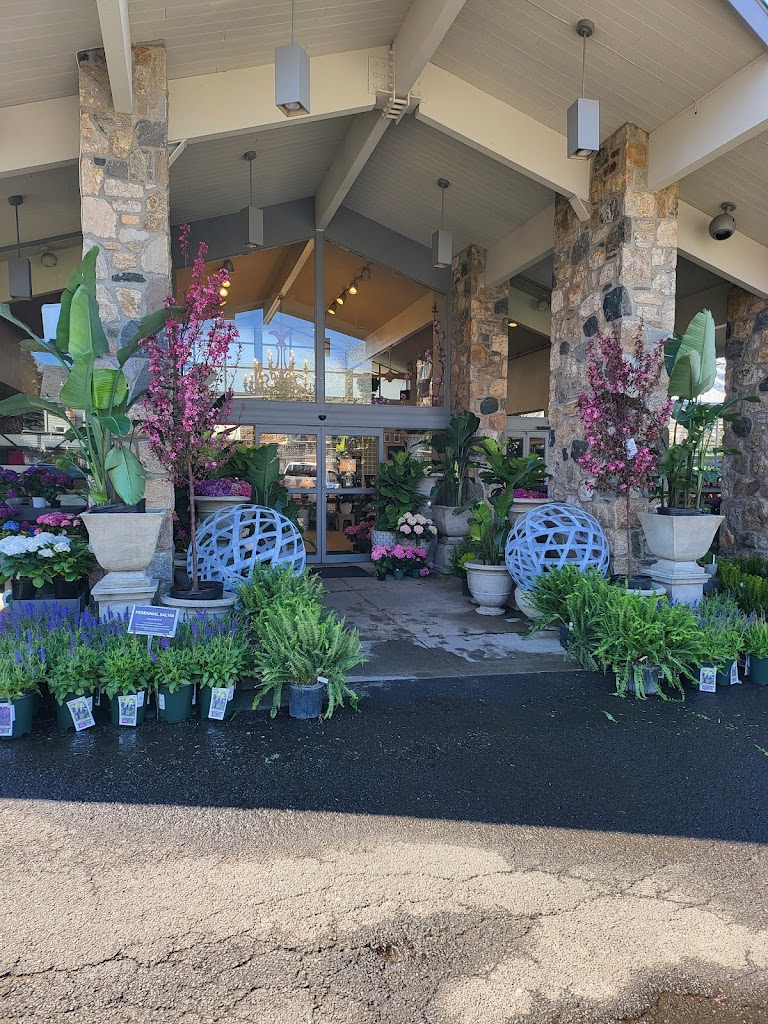 McArdle's Floral & Garden Design