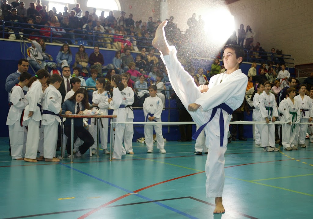 CLUB TAEKWONDO VVA. DEL PARDILLO — Entrenamiento