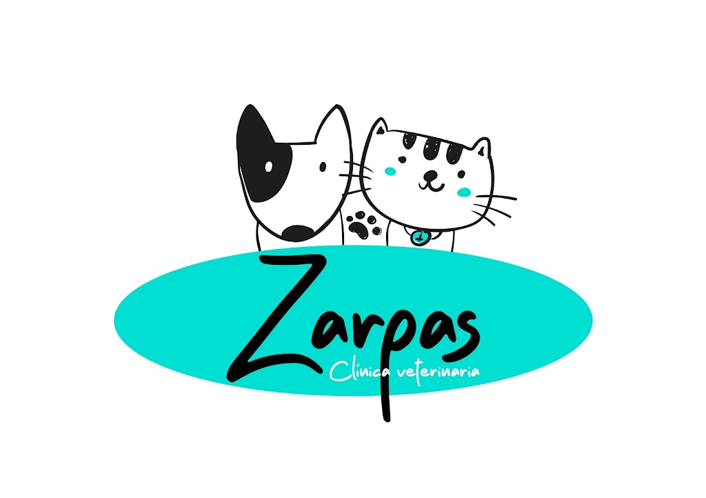Clinica Veterinaria Zarpas Valladolid — Gato