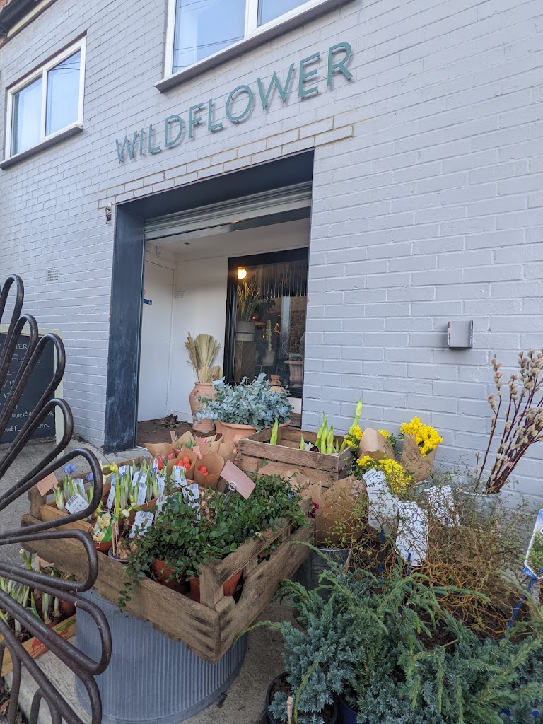 Wildflower