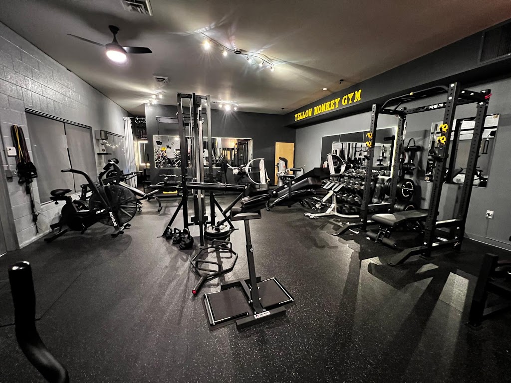  Yellow Monkey Gym