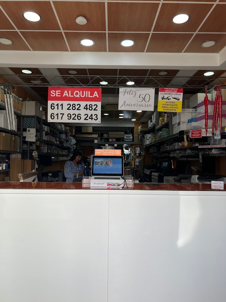 Guadalmina Servicios