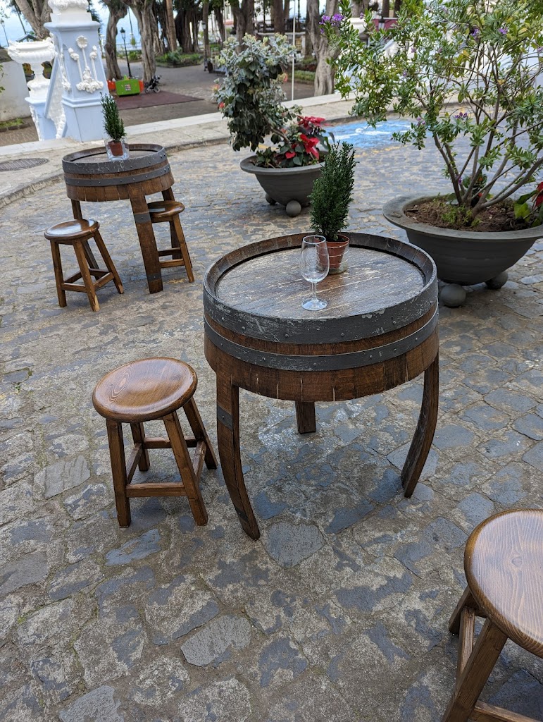 Malvasia Casa De Los Reyes