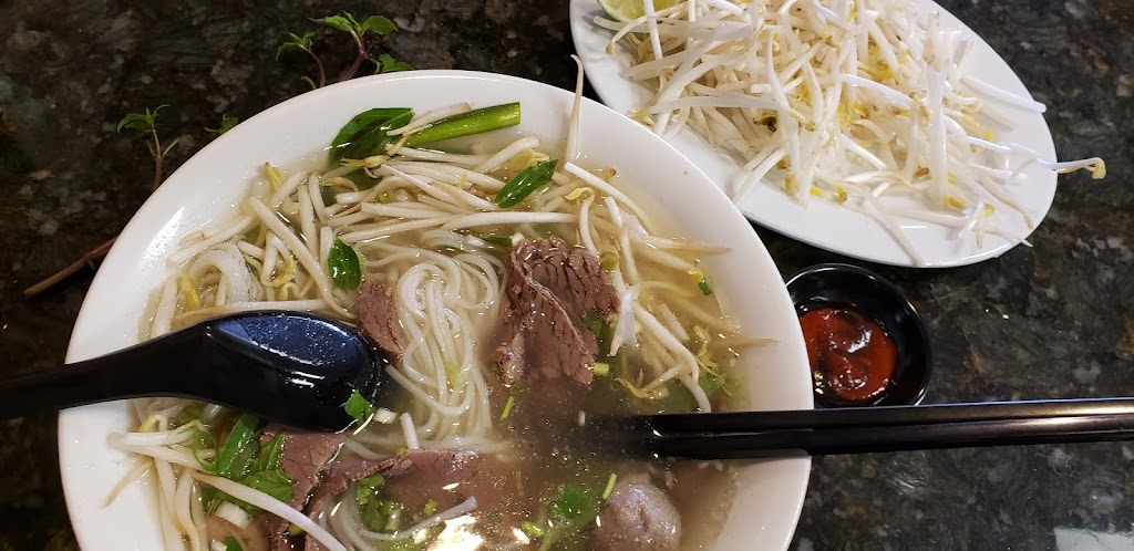 Soup