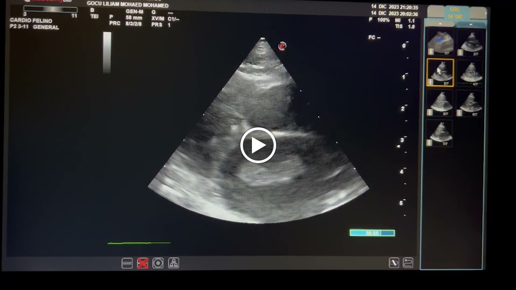 Centro Veterinario Pintos — Videos