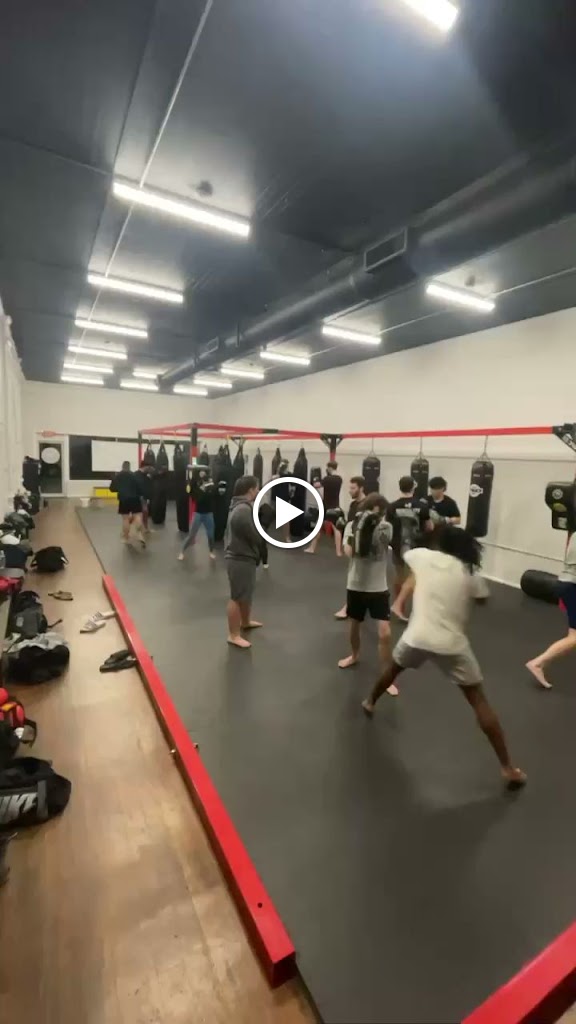  American Killer Bees Fitness