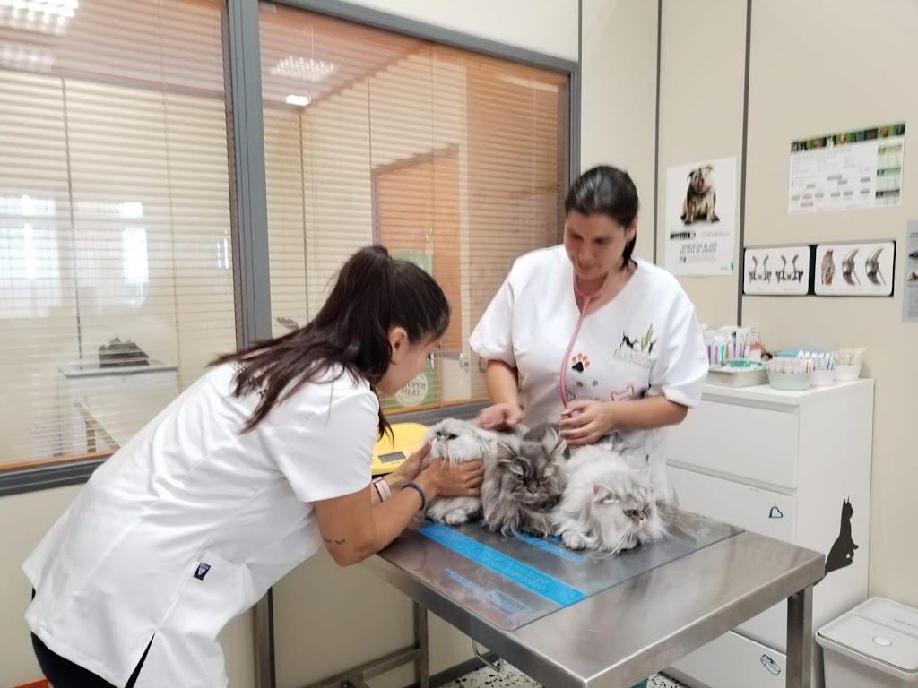 Clinica Veterinaria El Cardon