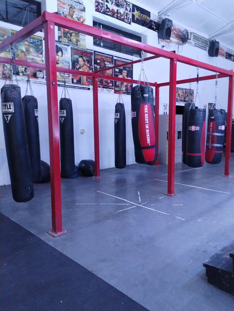  Undefeated Boxing Academy