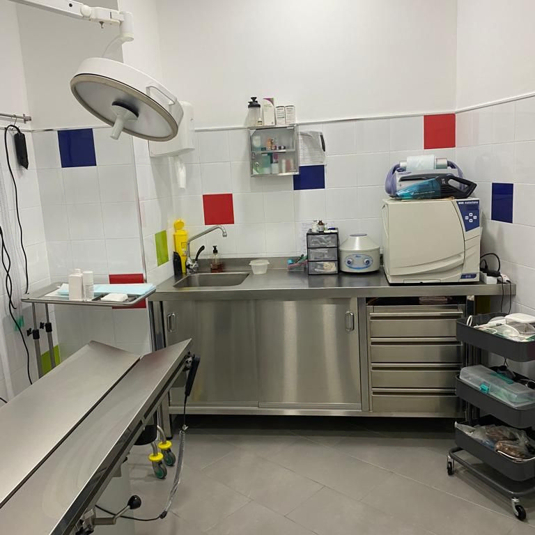 Centro Veterinario Arahal | Clinica Veterinaria para todo tipo de animales y mascotas