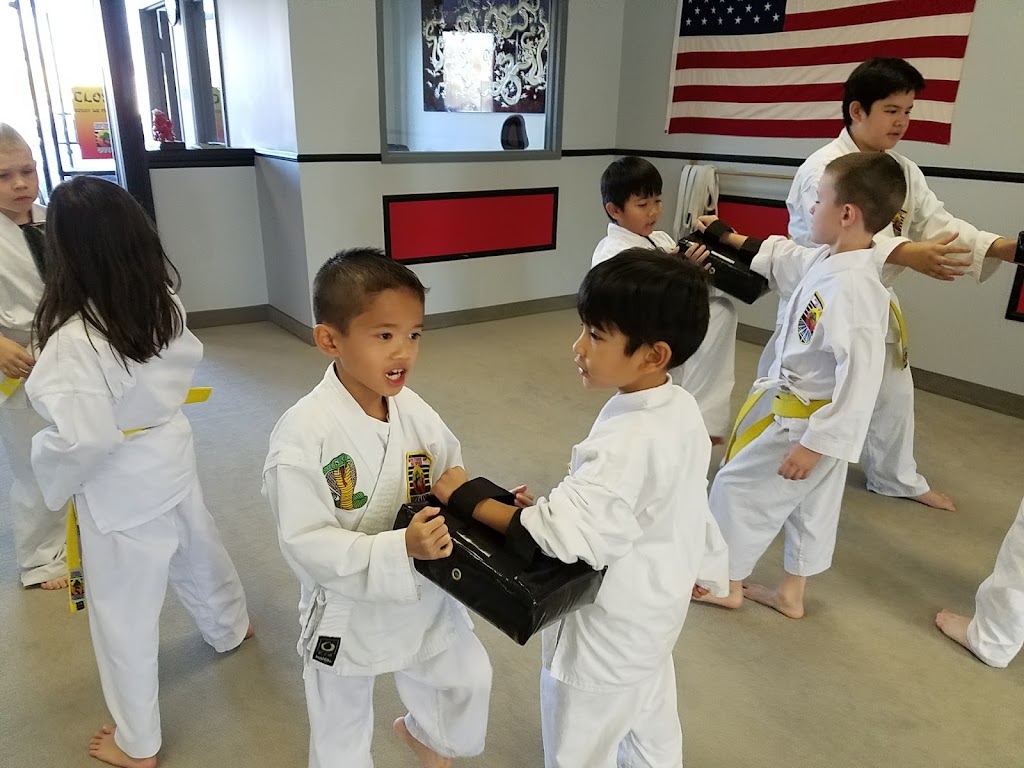  United Studios of Self Defense (USSD) French Valley