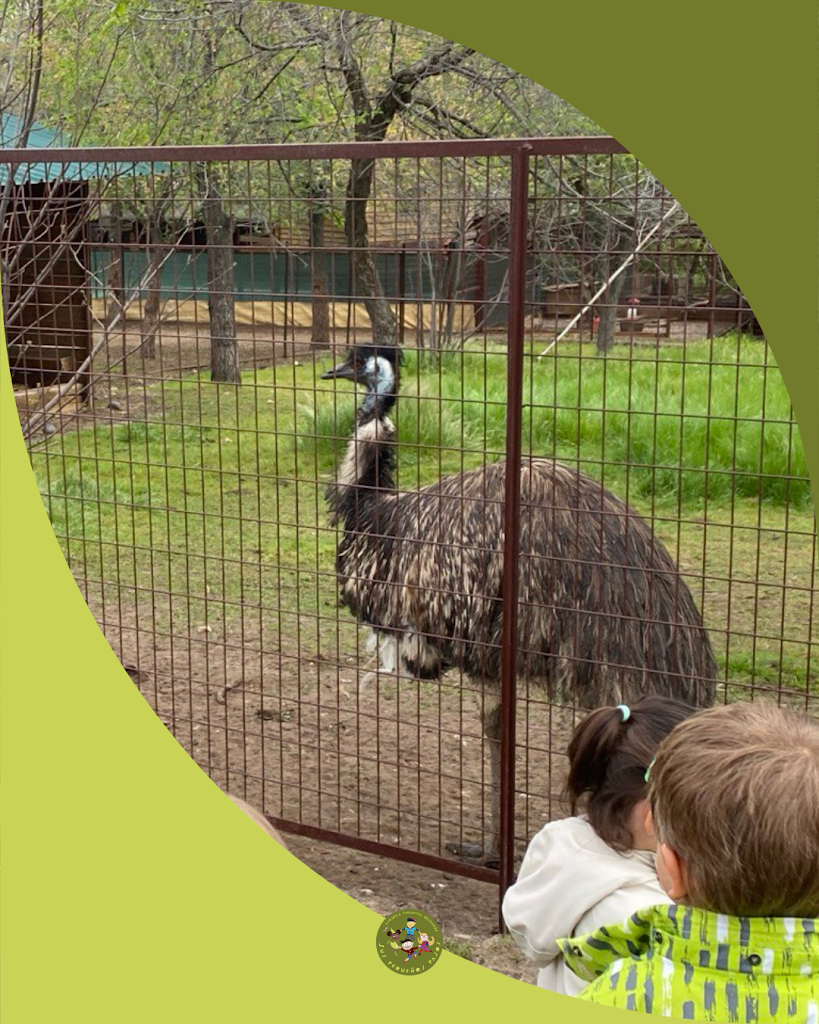 Escuela Infantil Bilingue Sus Pequenos Pasos (Frances-Ingles) - La Moraleja