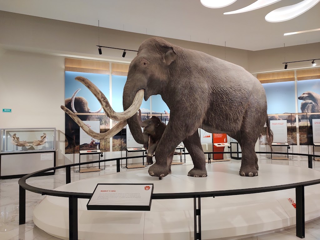 Museo Paleontologico de Santa Lucia Quinametzin