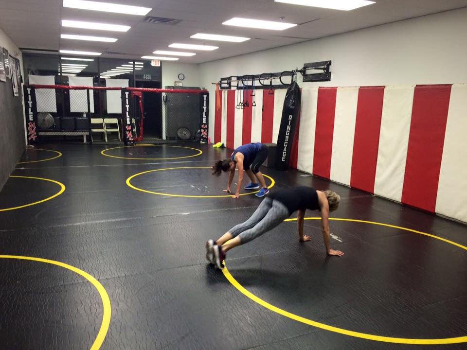  Myrmidon Training Systems