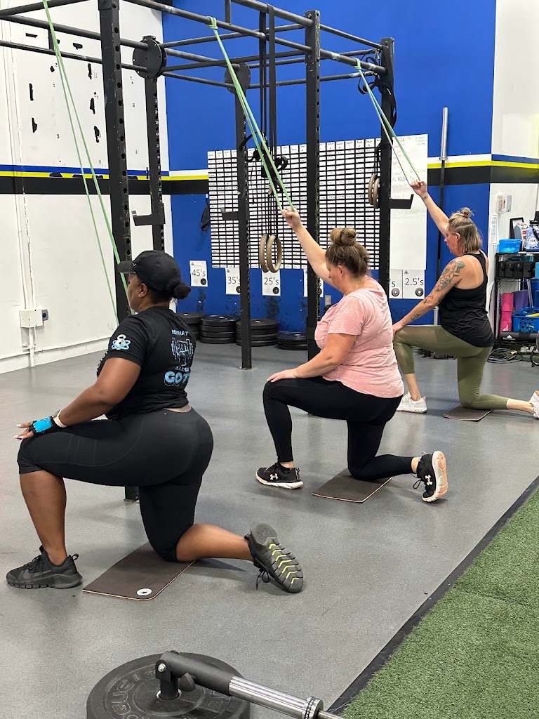  Trainology Fitness Systems