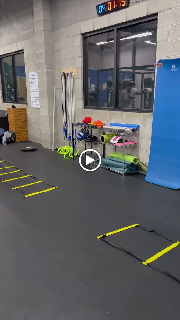  Anatomy Boxing & Fitness