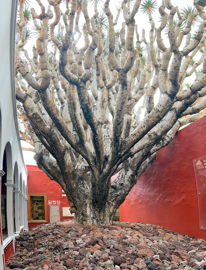 Ayuntamiento de Galdar