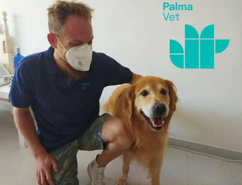 PALMA VET Servicios Veterinarios A Domicilio — Del propietario