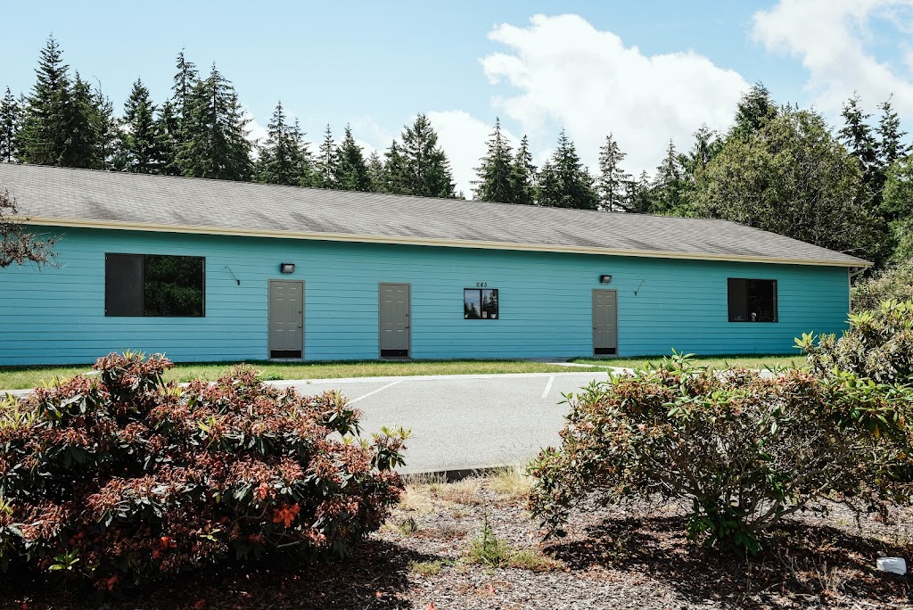  The Functional Training Studio