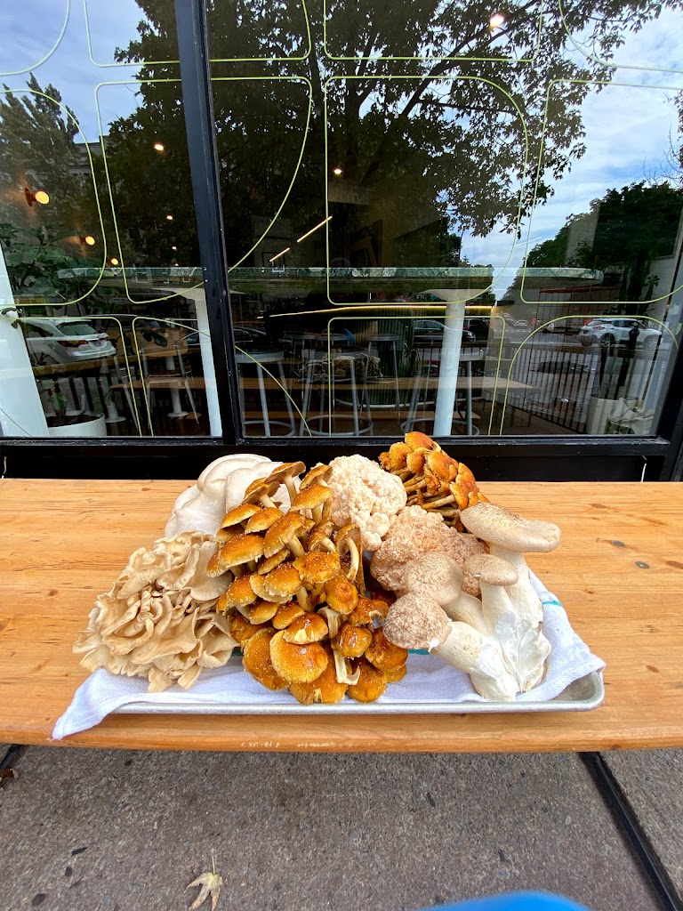 Food & drink