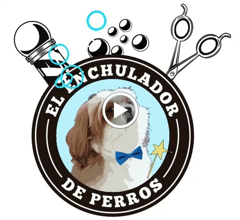 Vídeos