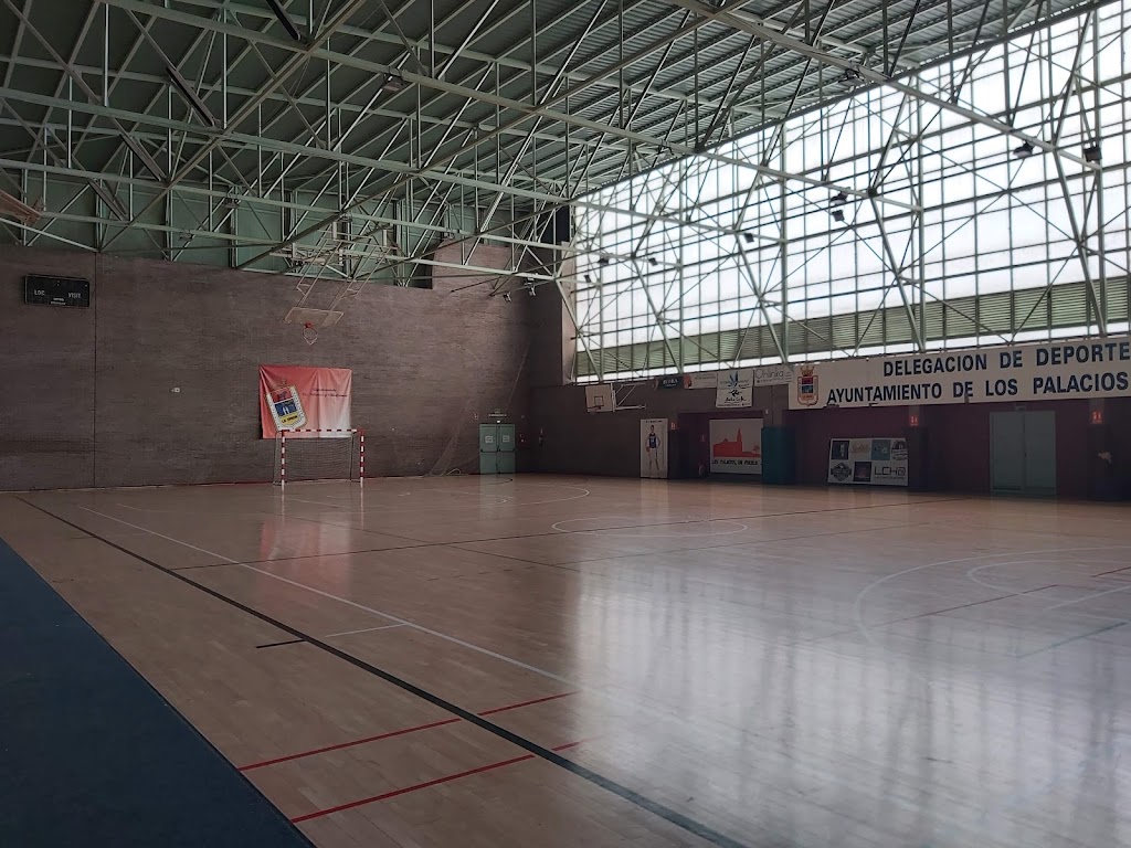 Pabellon polideportivo Jose Moral Los Palacios