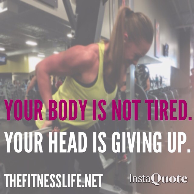  The Fitness Life - Allie Smith Cobb