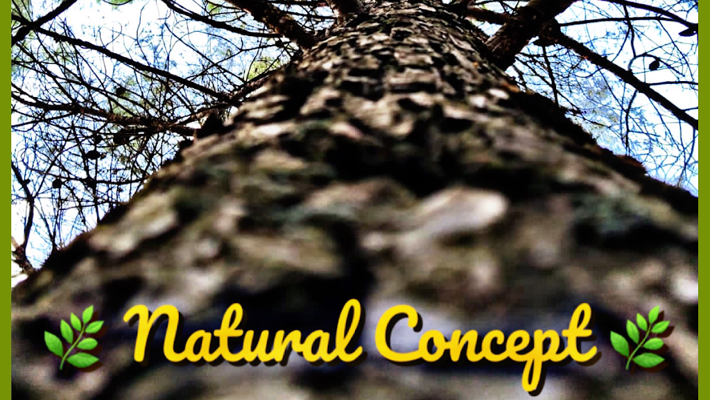 Peluqueria Ecologica Natural Concept — Del propietario