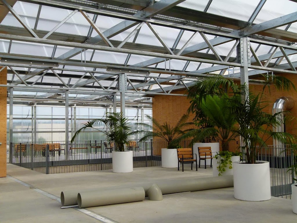 Institut Catala de Paleontologia Miquel Crusafont (ICP)